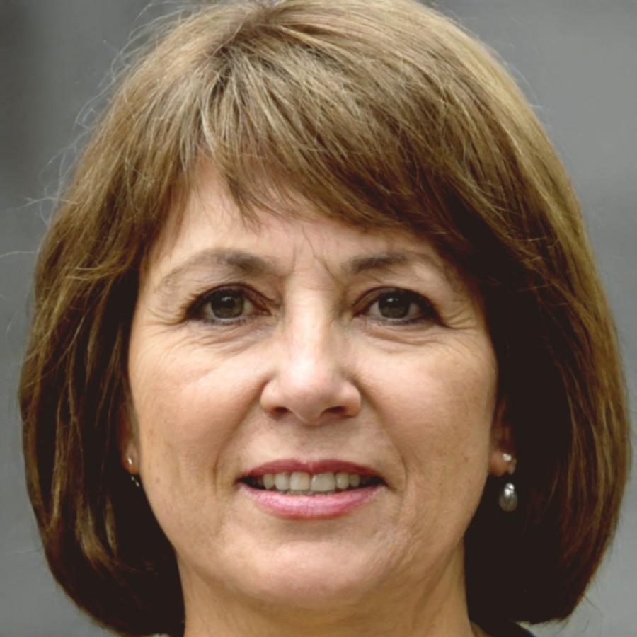 Directora de programas académicos especializados en modelado financiero